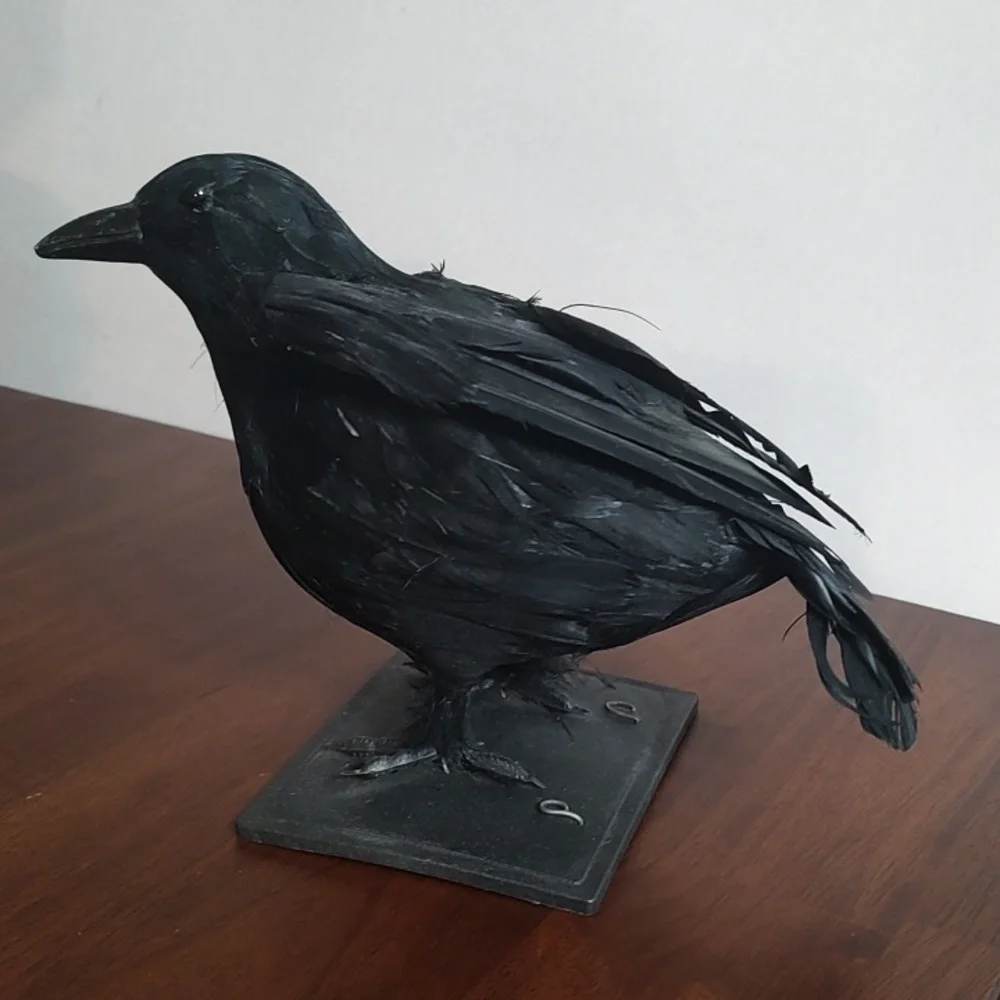 Black Raven Crow Sculpture Real Feathers Bird Halloween Decor Movie Set Prop - Picture 6 of 14